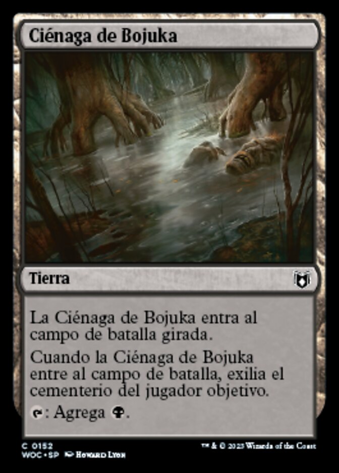 Ciénaga de Bojuka