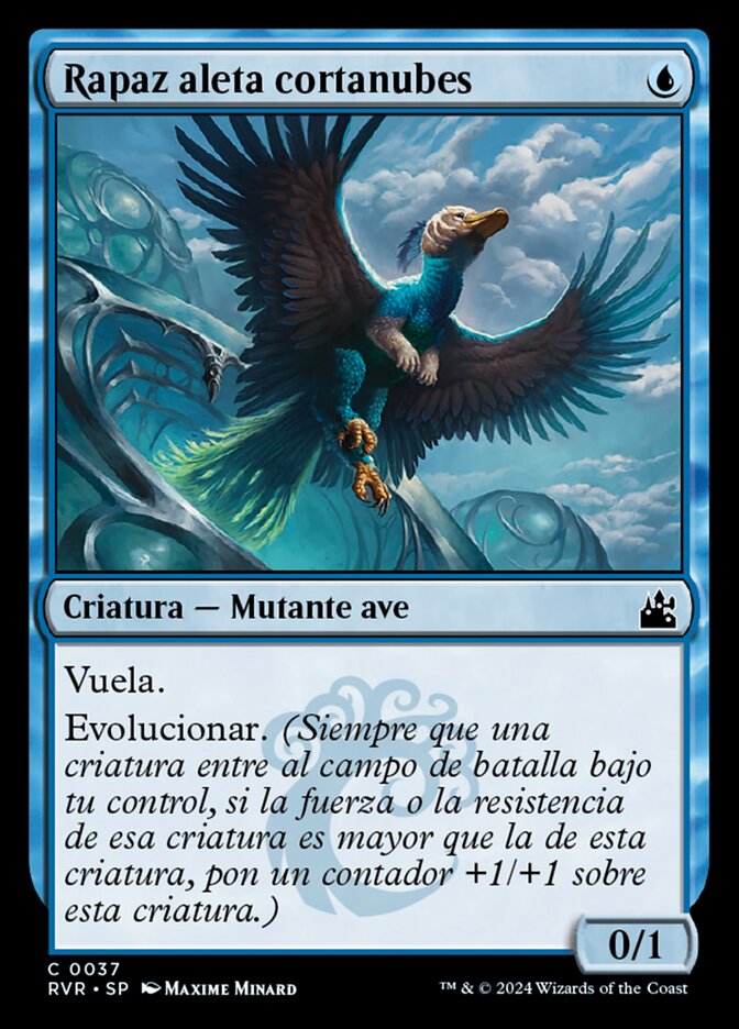 Rapaz aleta cortanubes
