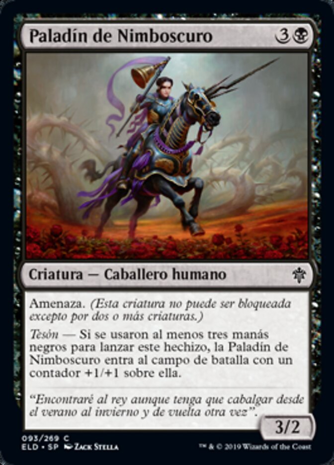 Paladín de Nimboscuro