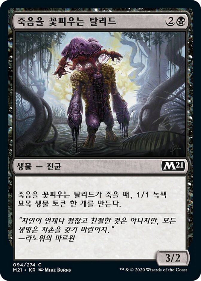죽음을 꽃피우는 탈리드