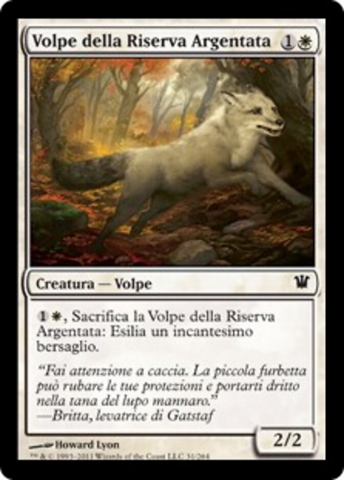 Volpe della Riserva Argentata