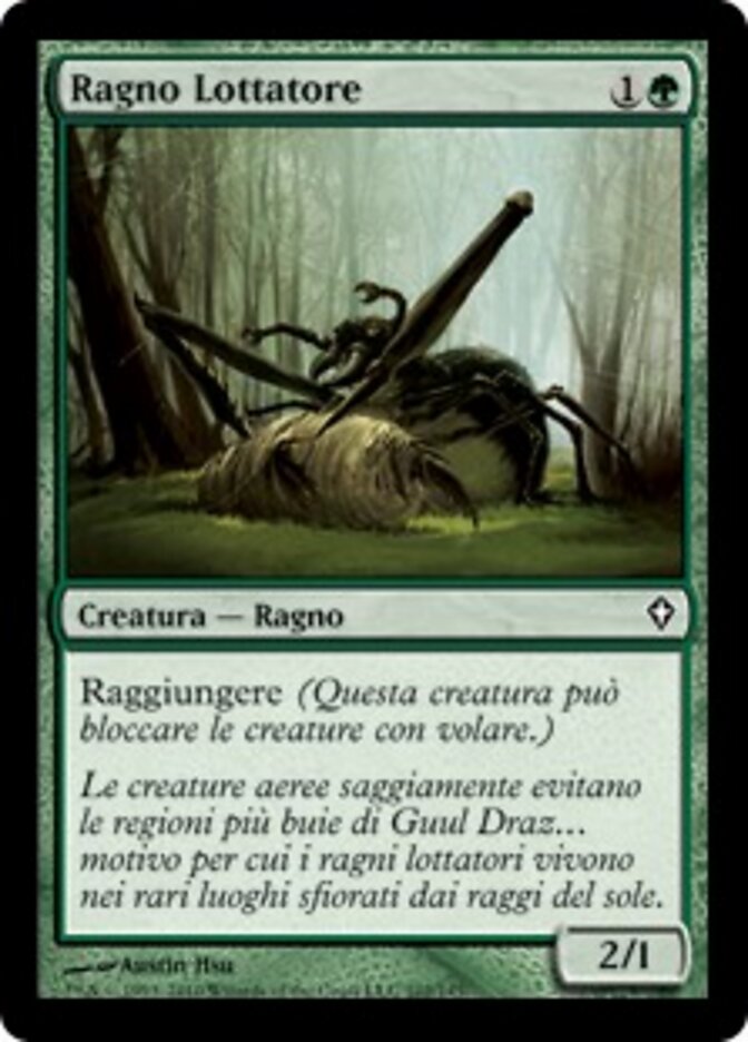 Ragno Lottatore