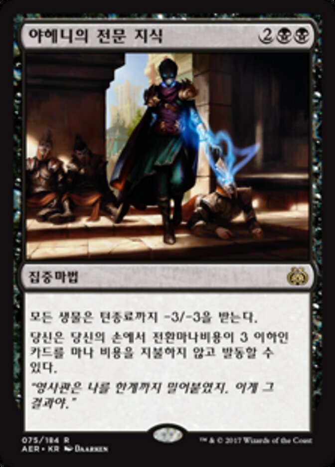 야헤니의 전문 지식