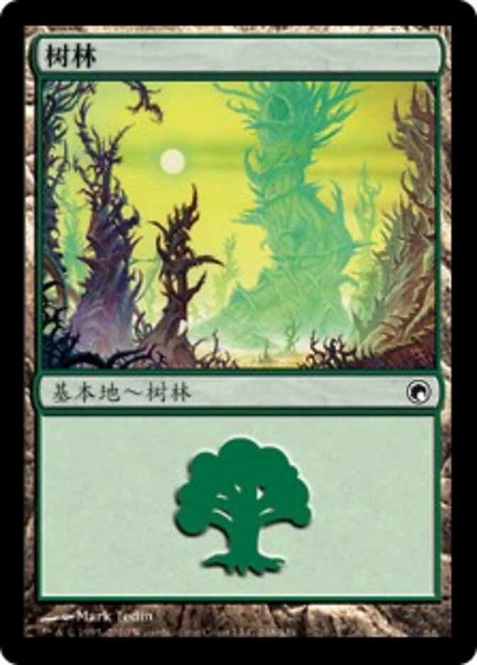 树林