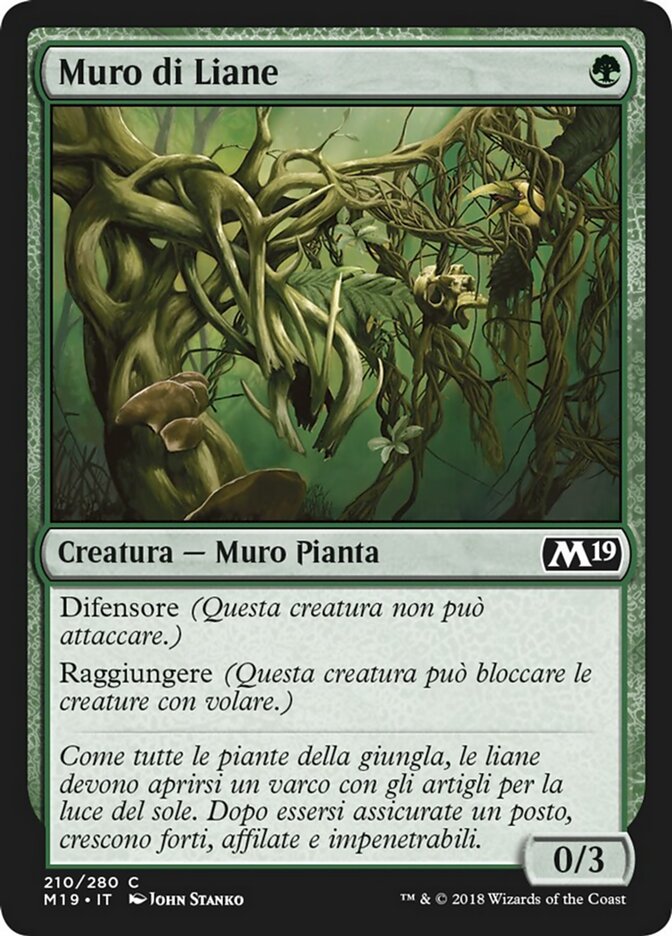Muro di Liane