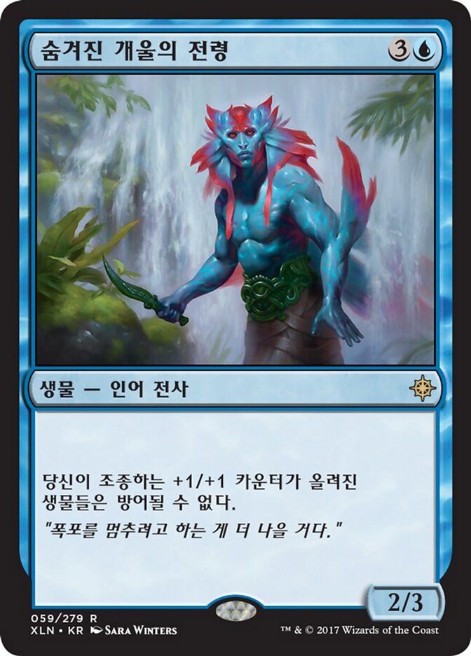 숨겨진 개울의 전령