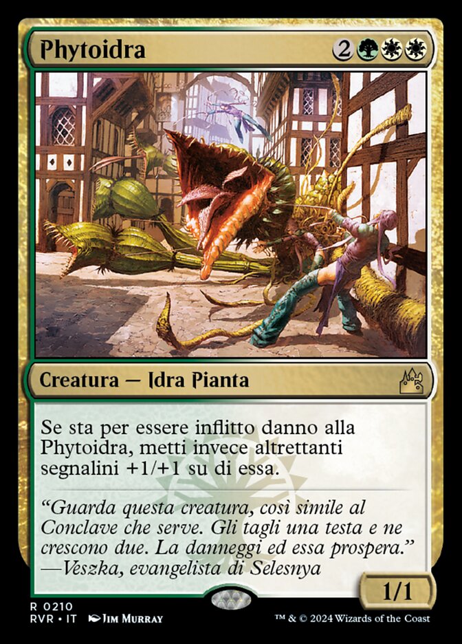 Phytoidra