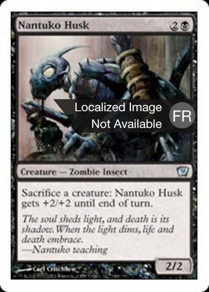 Carapace de nantuko