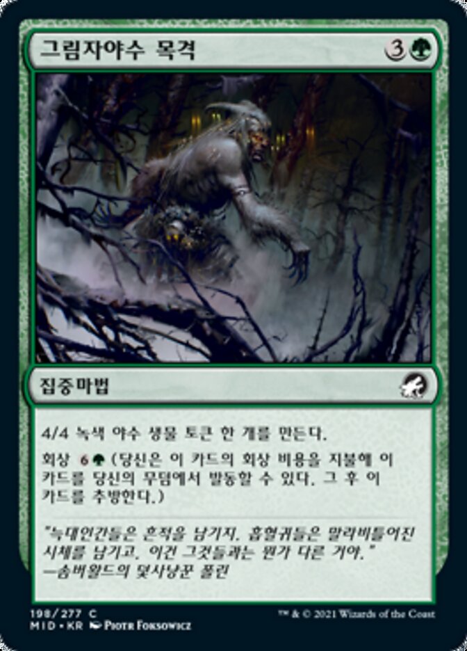 그림자야수 목격