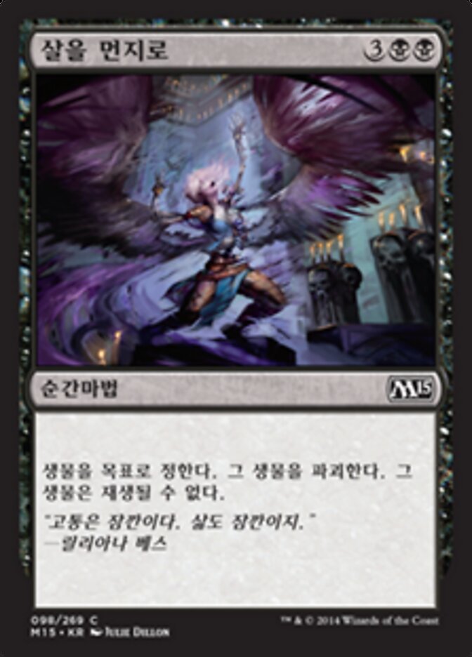 살을 먼지로