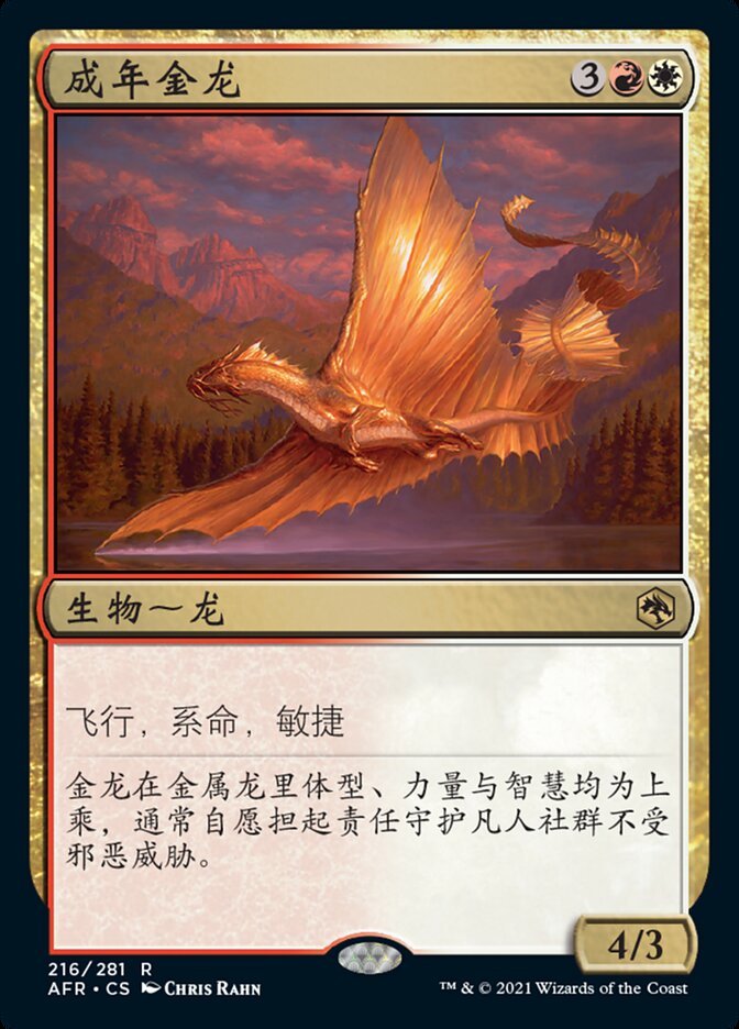 成年金龙