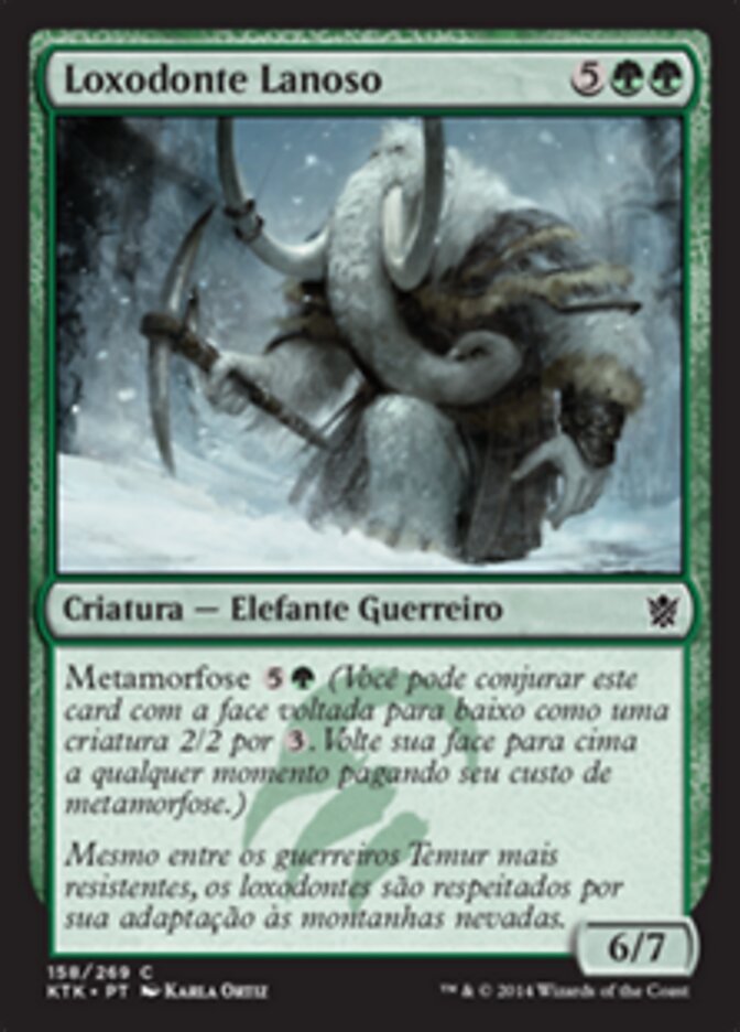 Loxodonte Lanoso