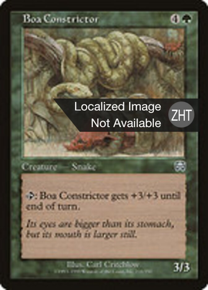 Boa Constrictor