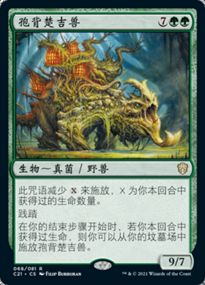 孢背楚吉兽