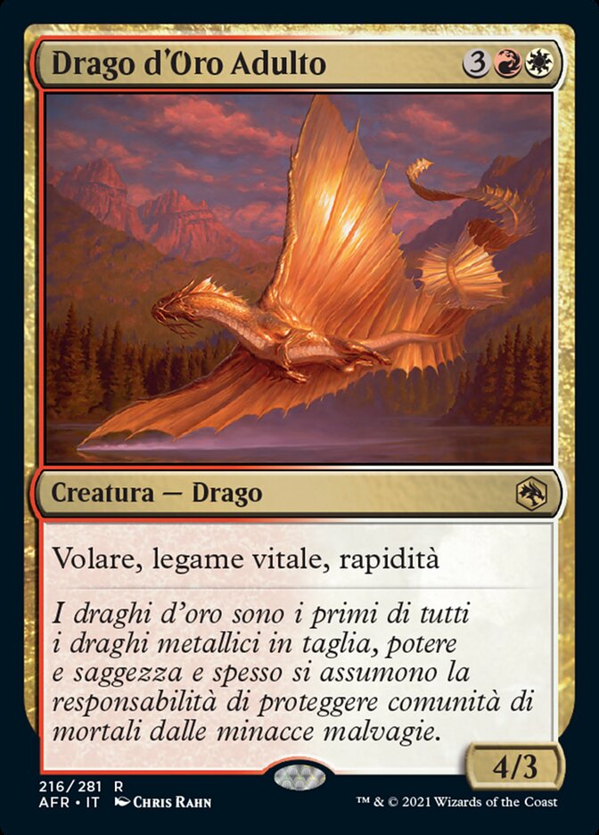 Drago d'Oro Adulto