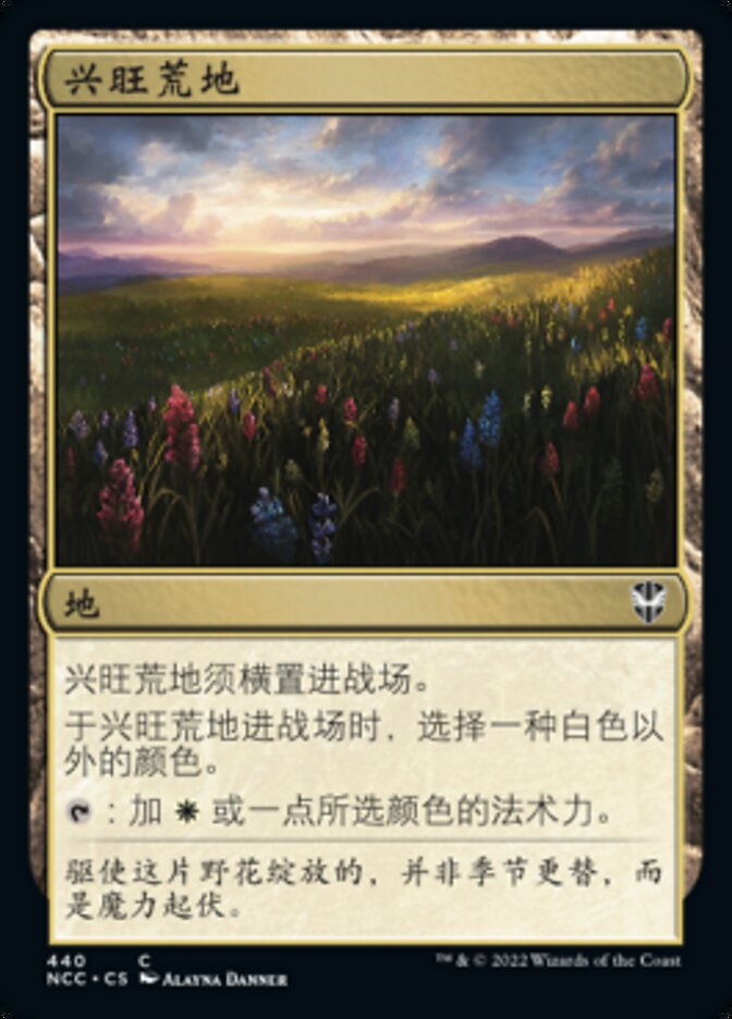 兴旺荒地