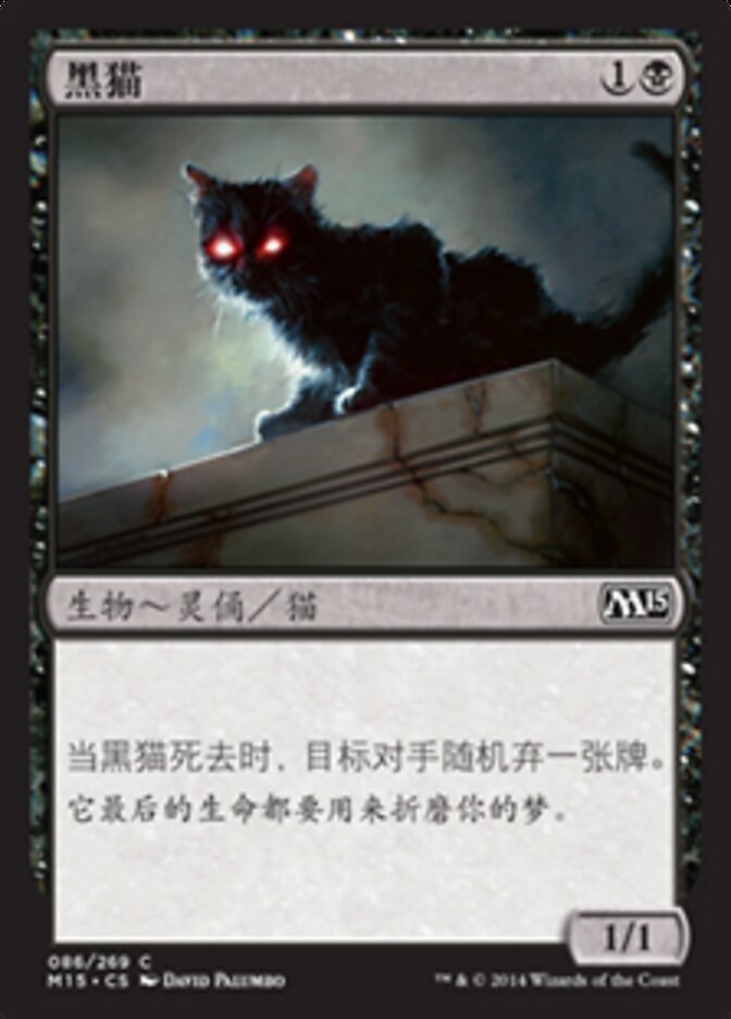 黑猫