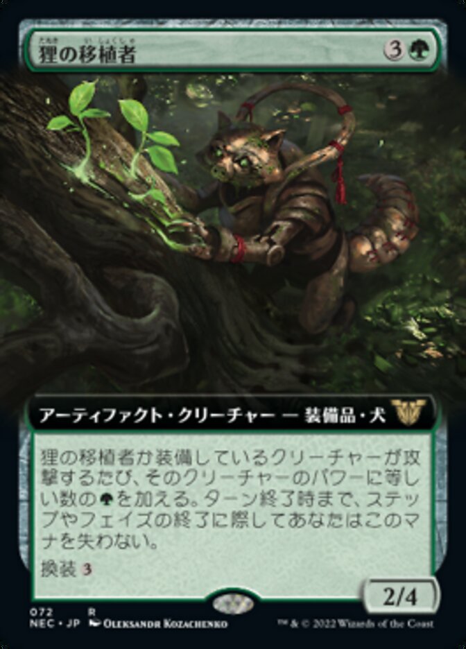 狸の移植者