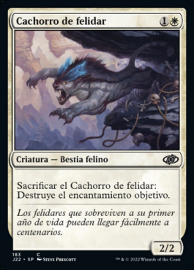 Cachorro de felidar