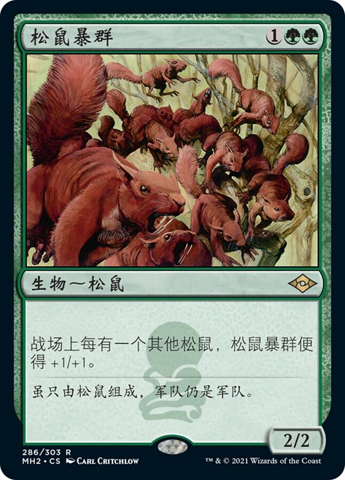 松鼠暴群