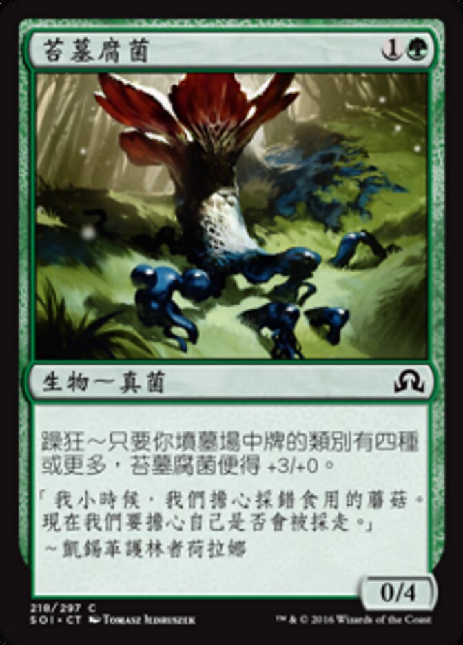 苔墓腐菌