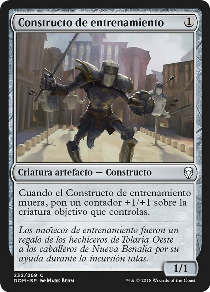 Constructo de entrenamiento