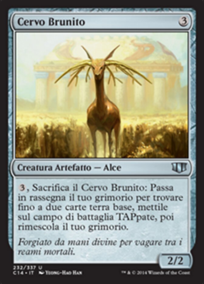Cervo Brunito