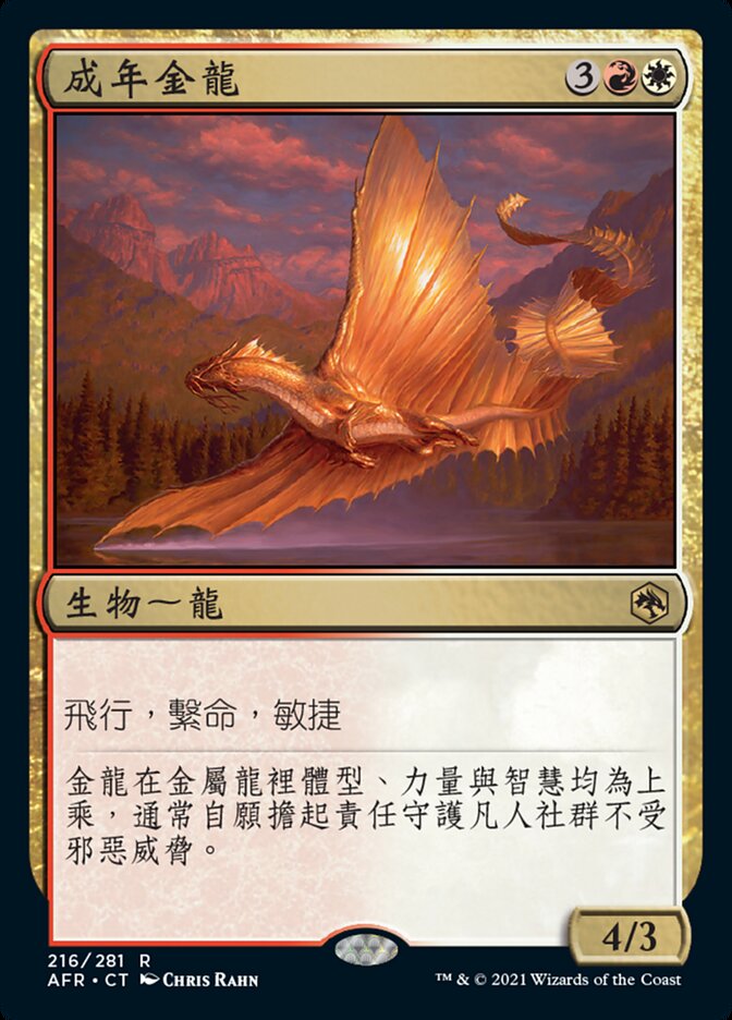 成年金龍