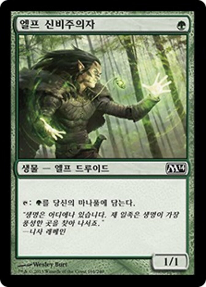 엘프 신비주의자