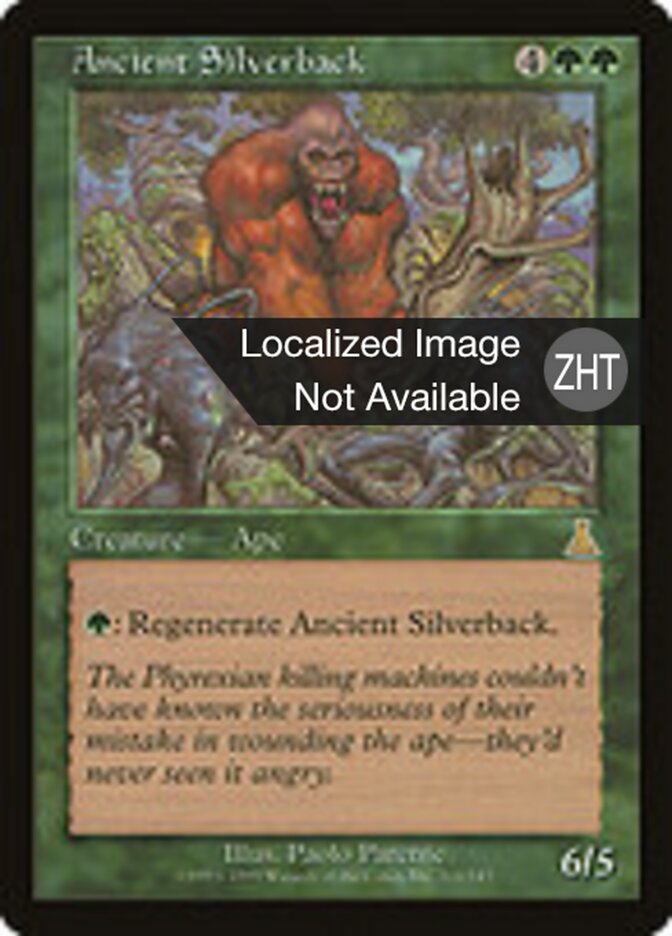 Ancient Silverback