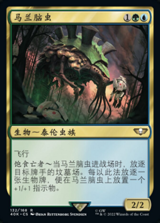 马兰脑虫