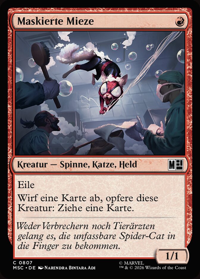 Maskierte Mieze