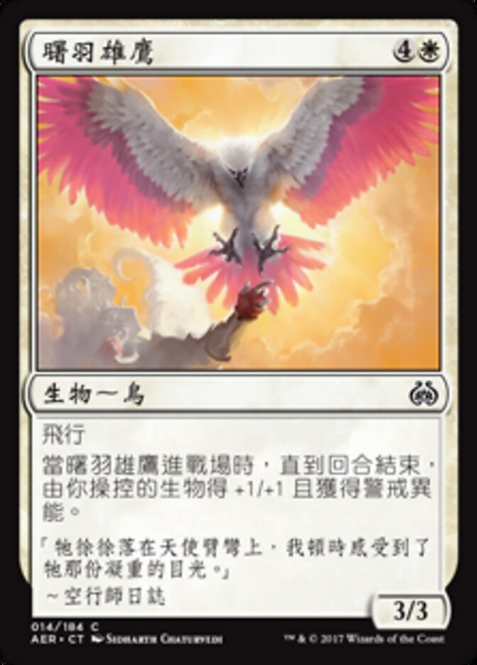 曙羽雄鷹