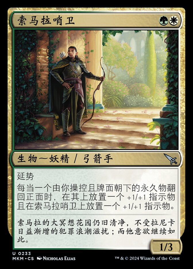 索马拉哨卫