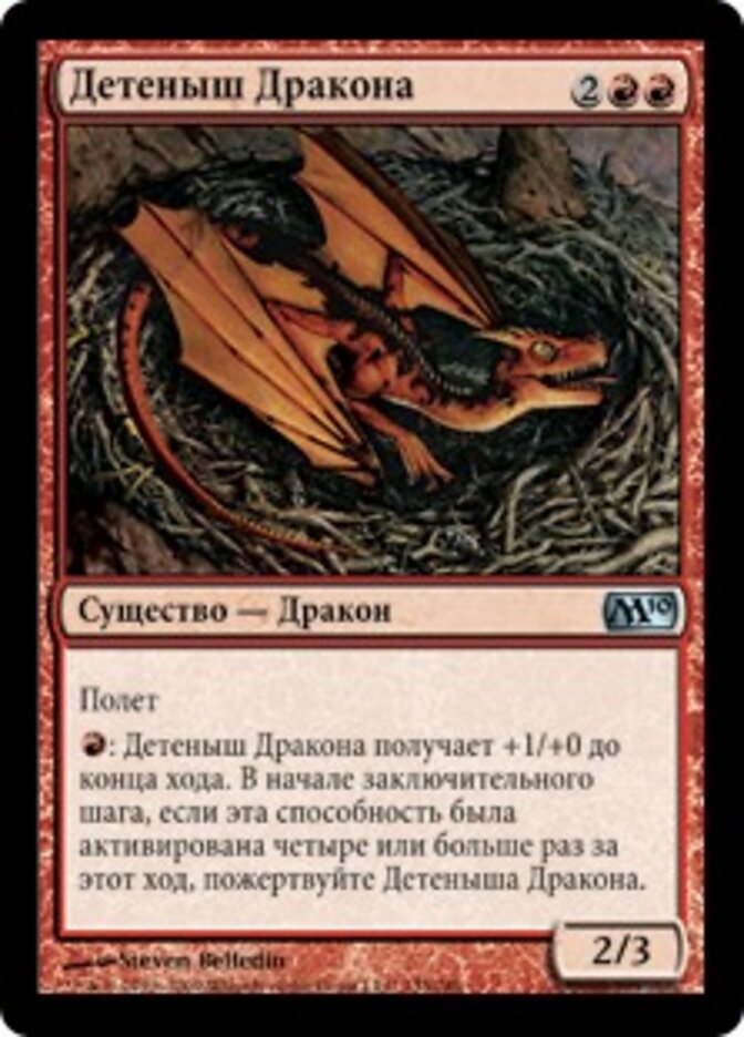 Детеныш Дракона