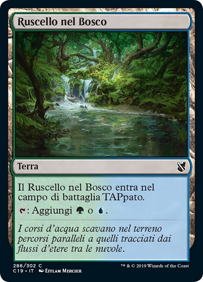 Ruscello nel Bosco