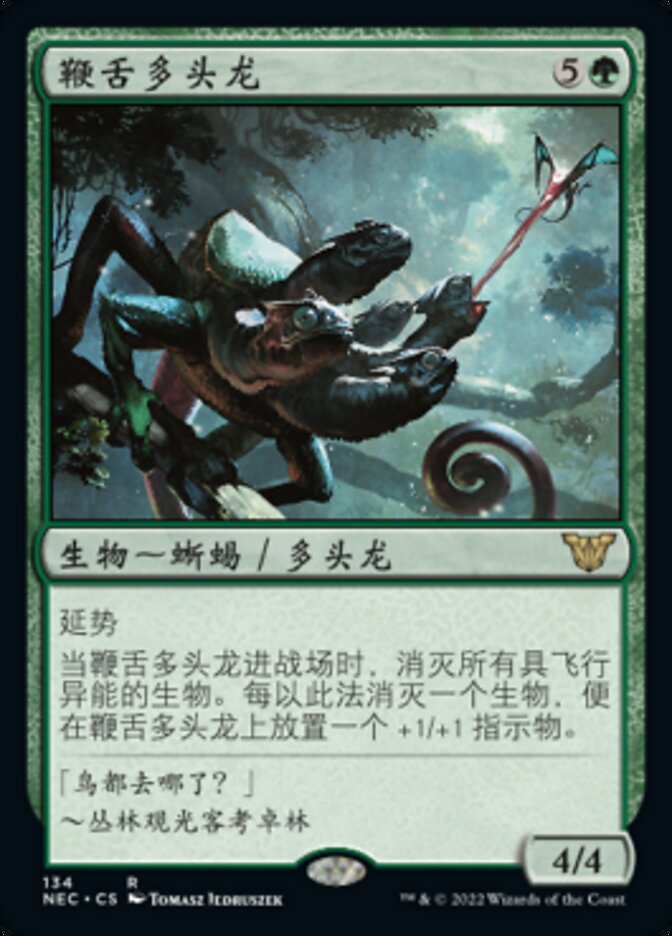 鞭舌多头龙