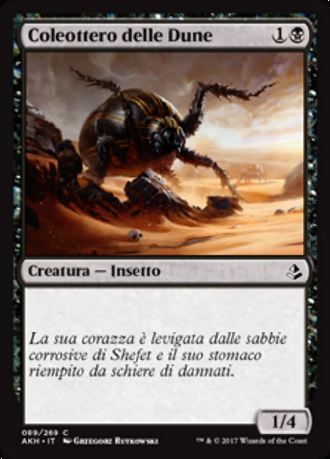 Coleottero delle Dune