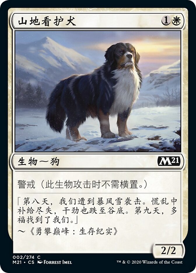 山地看护犬