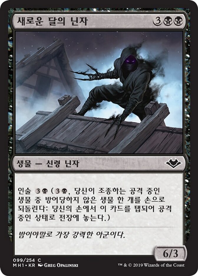 새로운 달의 닌자