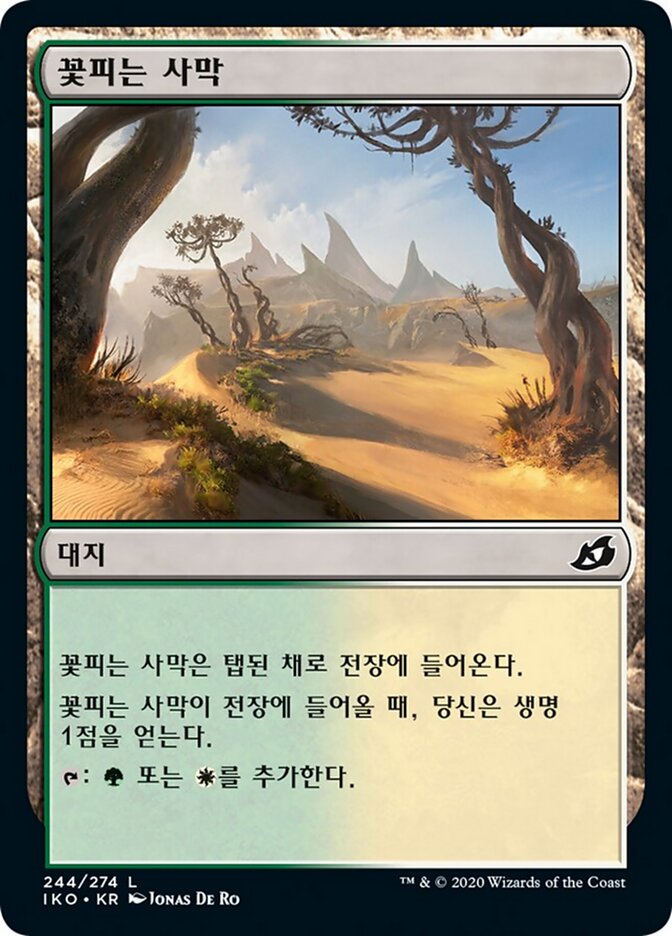 꽃피는 사막