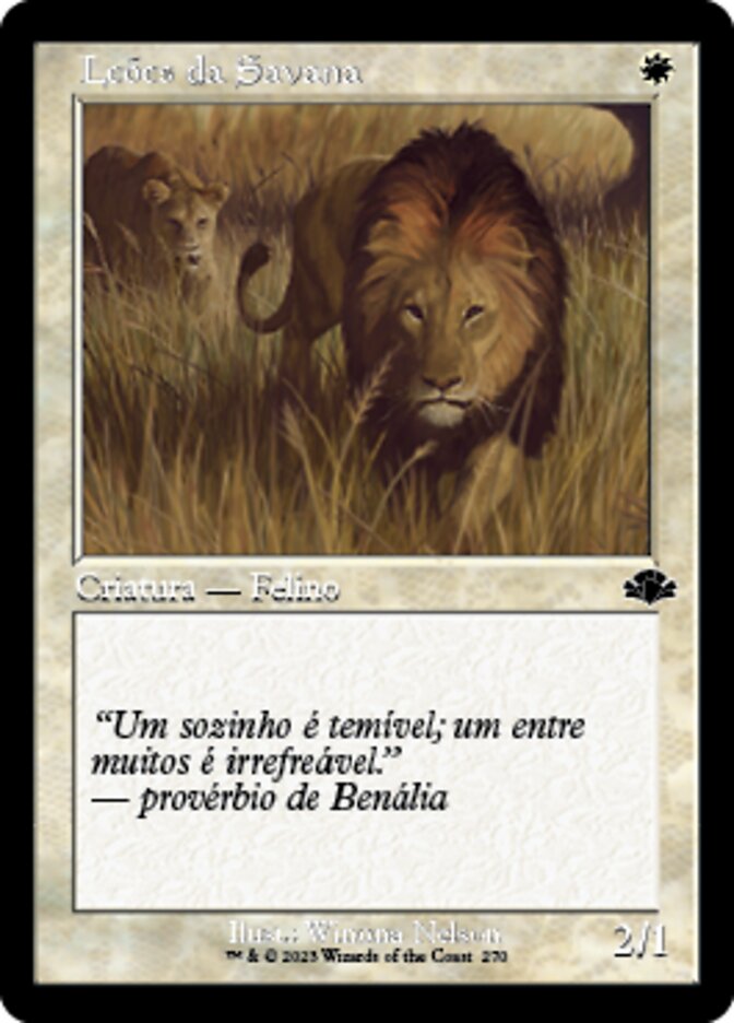 Leões da Savana