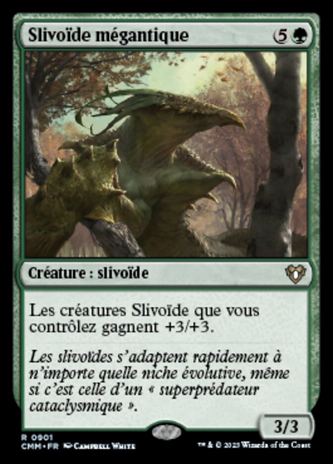 Slivoïde mégantique