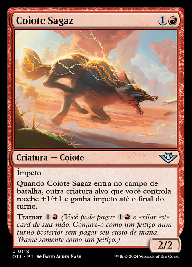 Coiote Sagaz