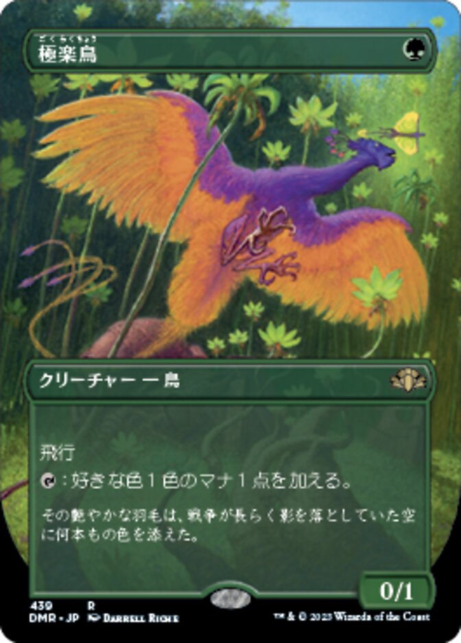 極楽鳥