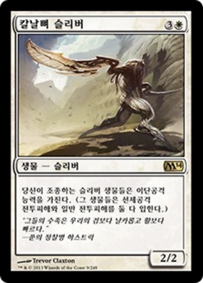 칼날뼈 슬리버