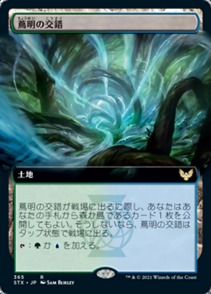 蔦明の交錯