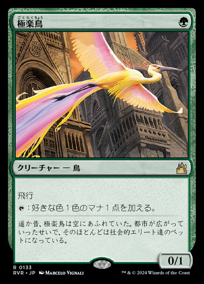 極楽鳥