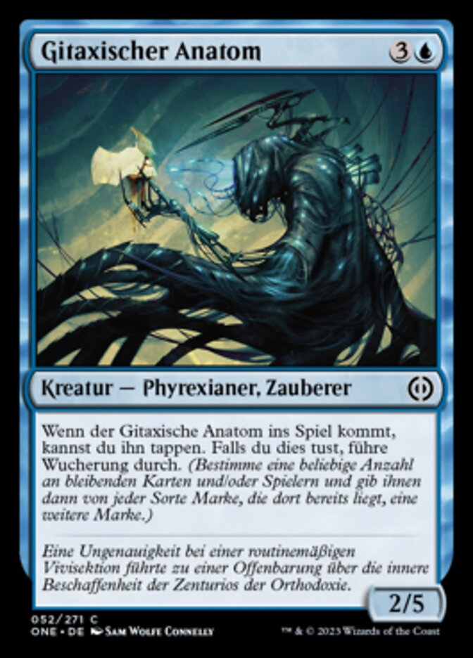 Gitaxischer Anatom