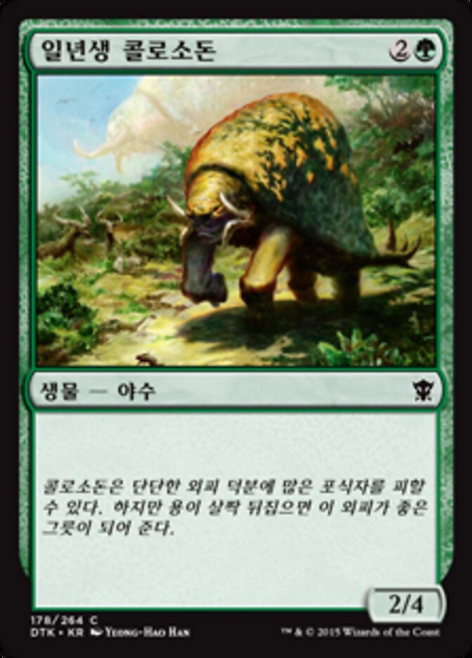 일년생 콜로소돈